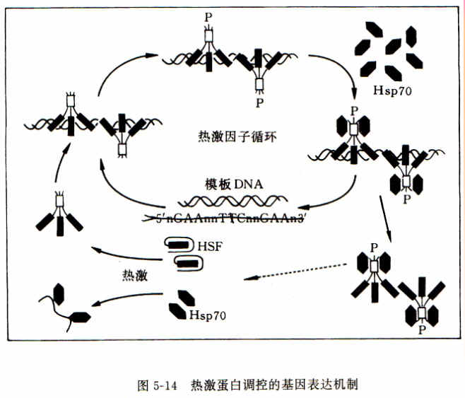 太阳成集团